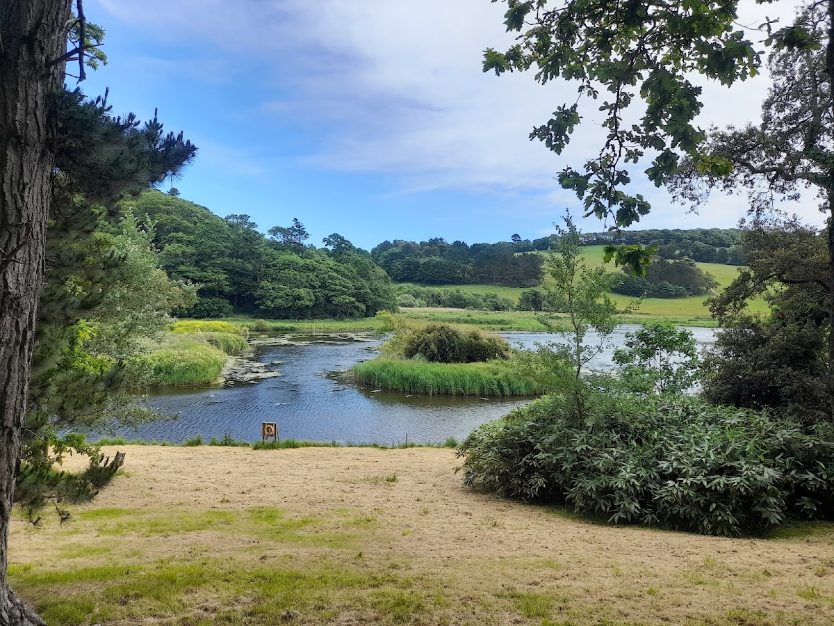 Caerhays Castle, further view