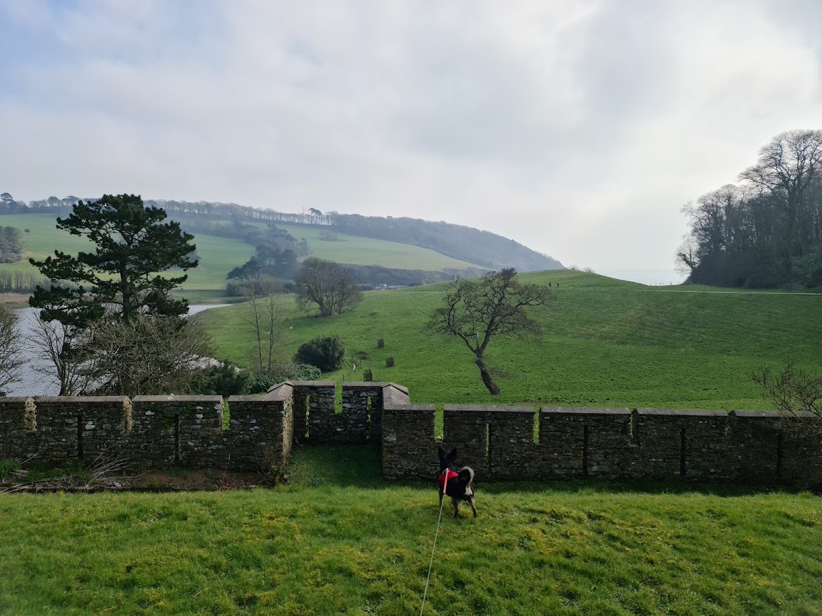 Caerhays Castle, further view