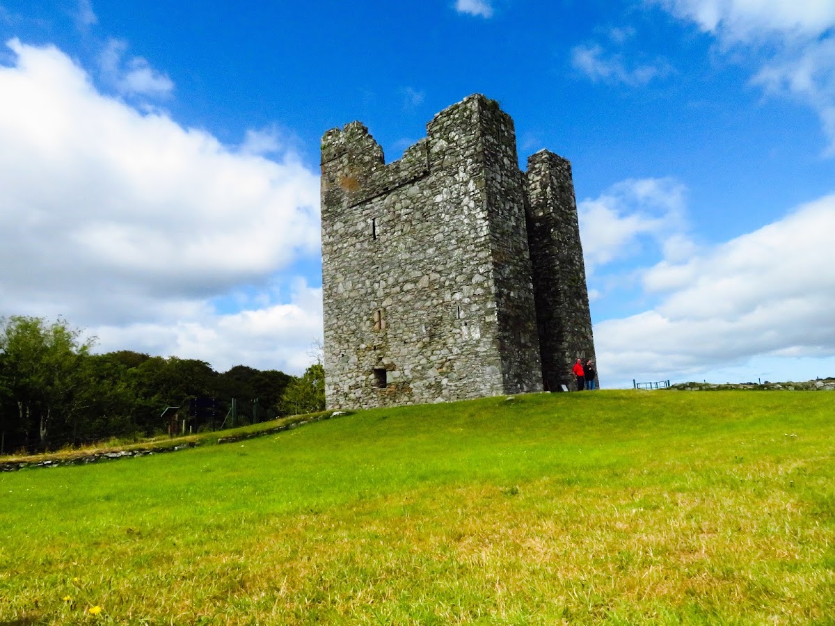 Castle Ward, further view