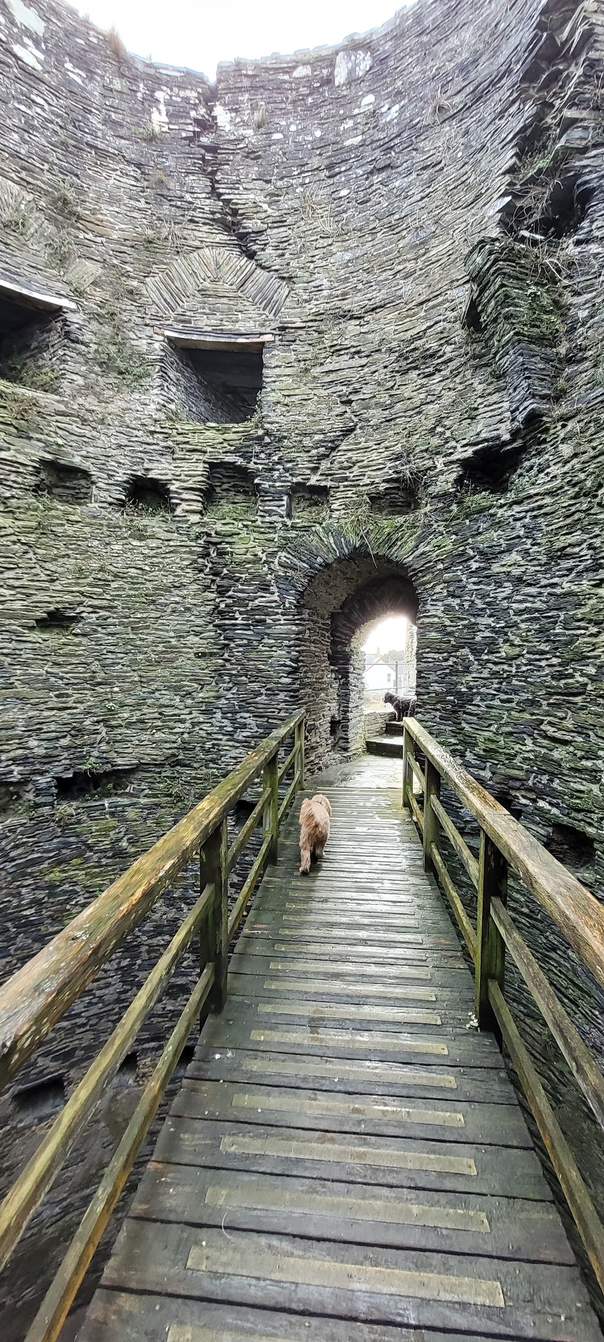 Cilgerran Castle, further view