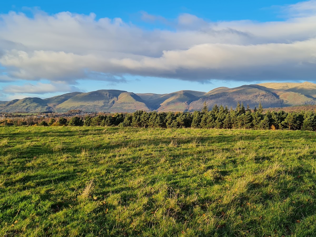 Clackmannan Tower, further view