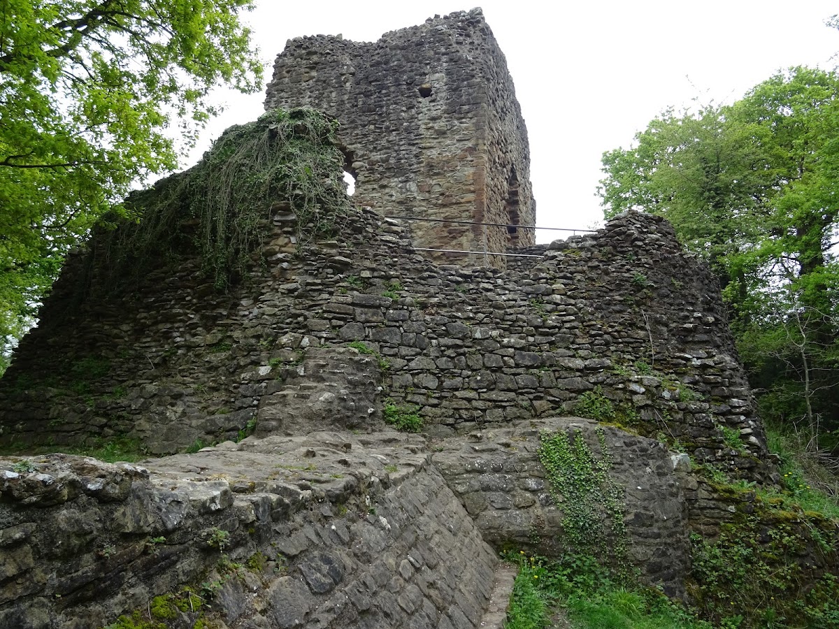 Ewloe Castle, further view