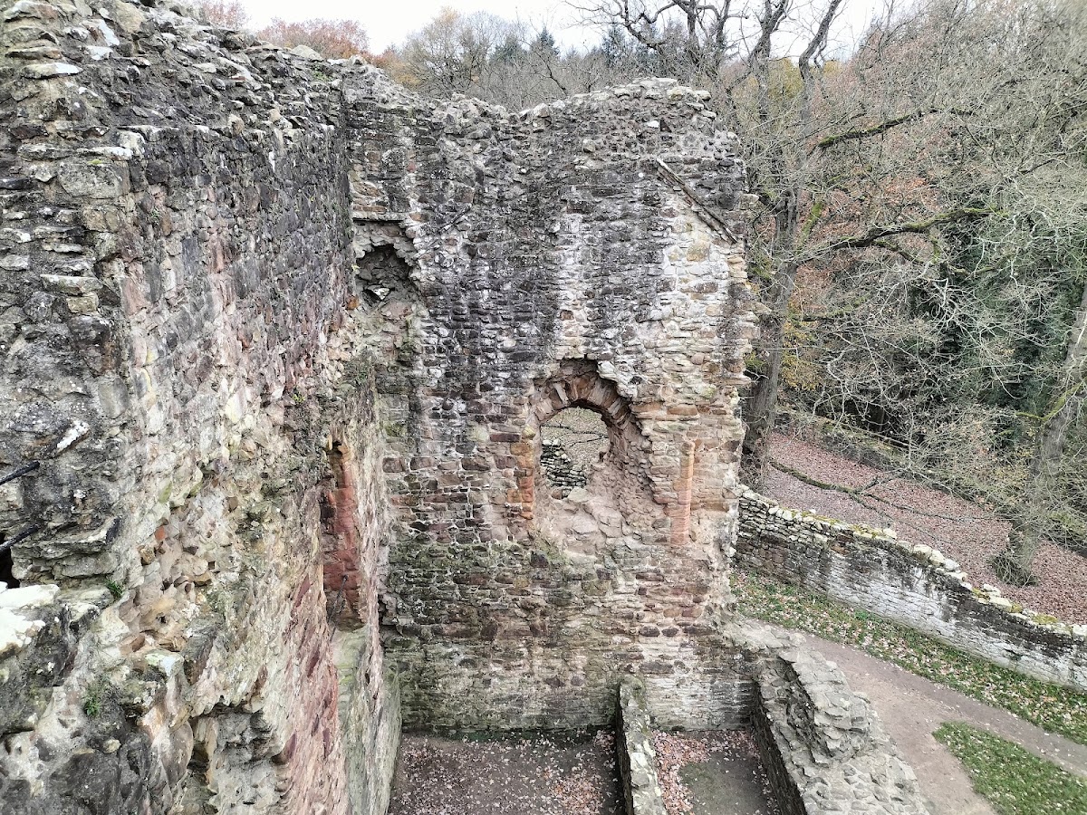 Ewloe Castle, further view
