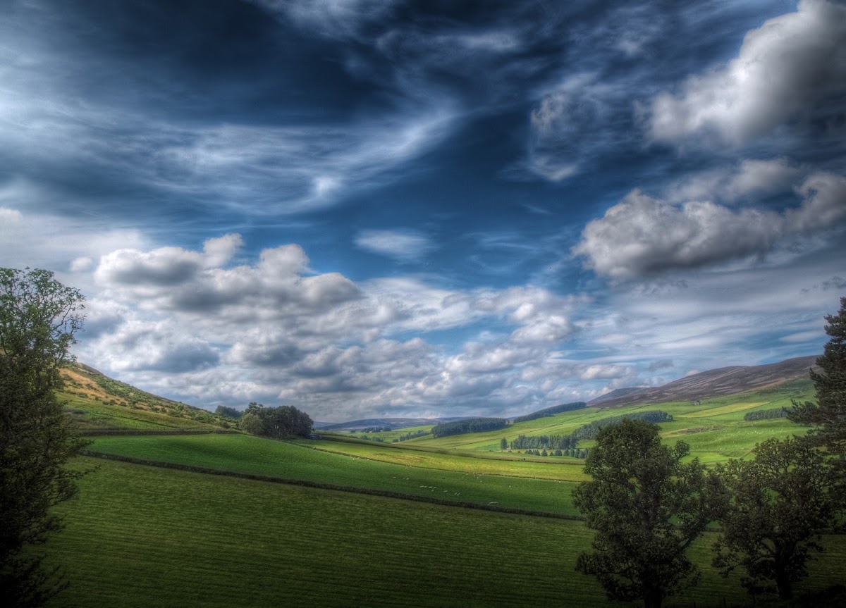 Glenbuchat Castle, further view