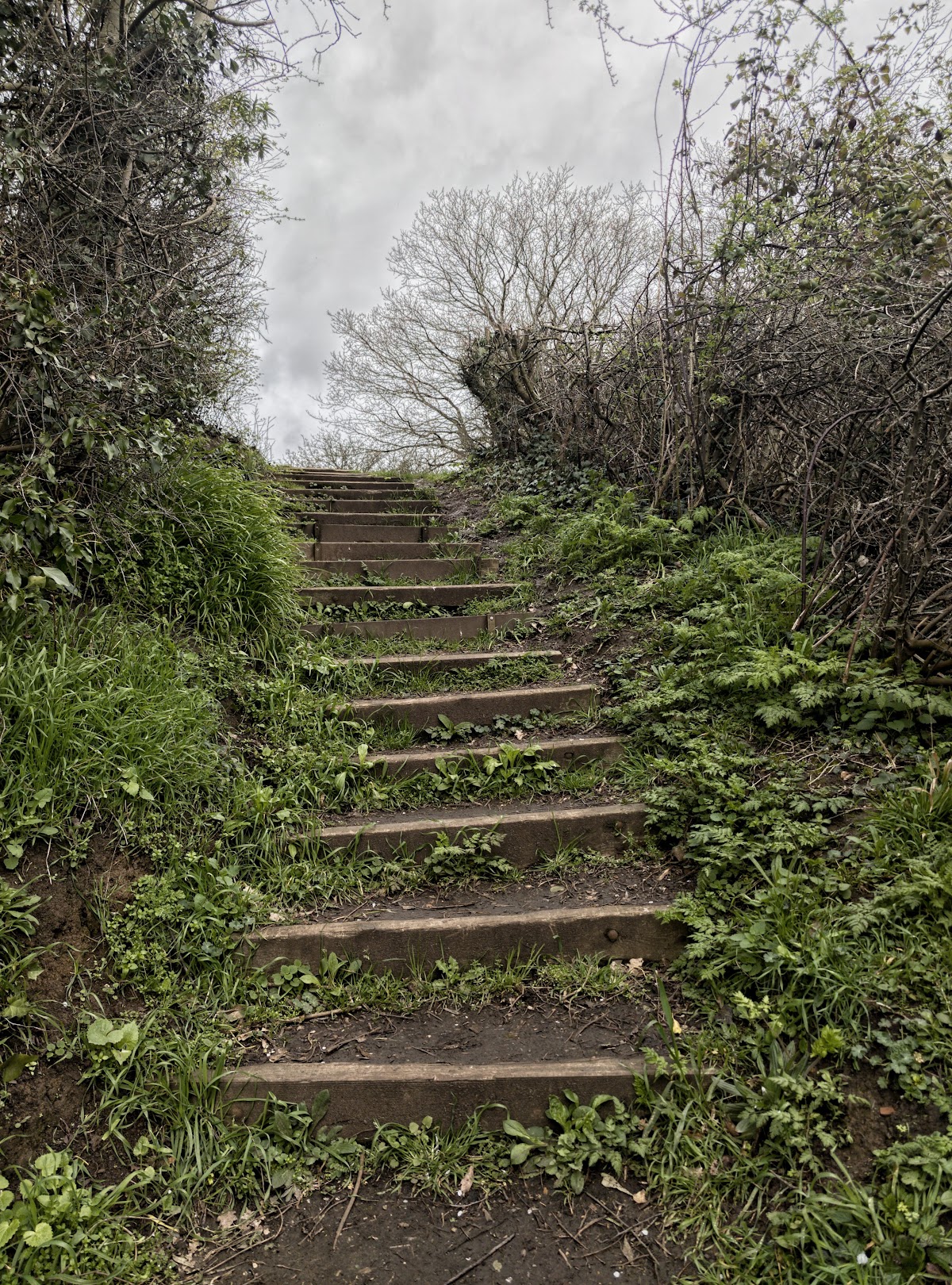 Rayleigh Mount, further view
